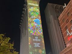 -新加坡乌节希尔顿酒店 (SG Clean)