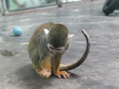 -西安秦岭野生动物园