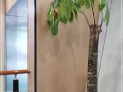 -东泰祥生煎馆(陕西南路店)