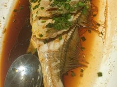 -南麓·浙里(外滩店)