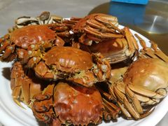 -小六农家乐(崇明西沙湿地店)