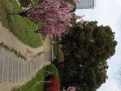 iphone_upload_pic-天鹅湖体育公园
