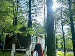 -瑶湖郊野森林公园