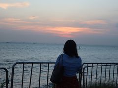 -宝安西湾红树林湿地公园