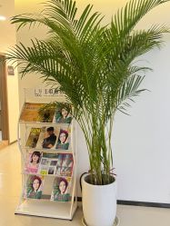 -丰联丽格医疗美容·联合丽格眼整形中心