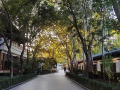 -新川办餐厅