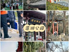 -莲湖公园