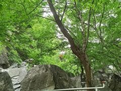 -北京上方山国家森林公园