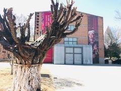 -中国艺术研究院油画院