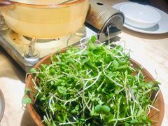 鸡汤萝卜苗-佬肥猫(七宝宝龙店)