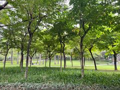 -荔香公园