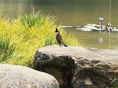 -云溪植物园