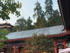 -宫事颐庭·老佛爷贵寿下午茶(颐和园店)