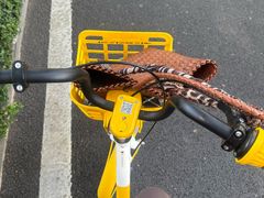 -百家春好德来姜母鸭