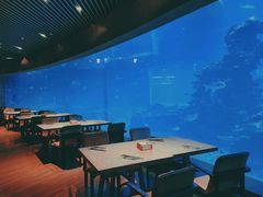 -海棠湾洲际-涛·海底餐厅·美人鱼·自助餐·海底隧道