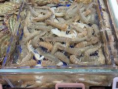 -高佳庄·舟山海鲜(海景旗舰店)