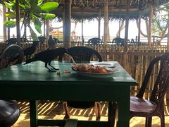 -Green Lobster Waskaduwa Seafood Restaurant