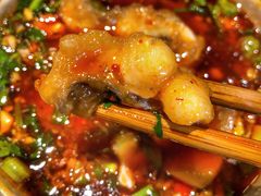 -肖肖酸萝卜鱼火锅(总店)