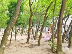 -玫瑰海岸文化旅游度假区