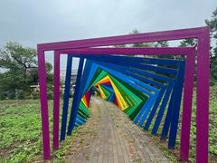 -帽儿山国家森林公园