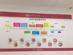 点击看大图 -潍坊艾玛妇产医院