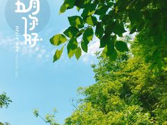 -木兰云雾山