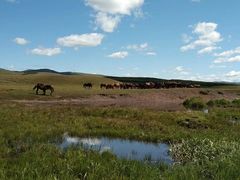 -塞罕坝国家级自然保护区