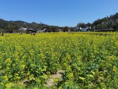 -红山村