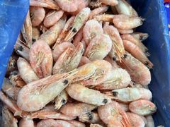 -海鲜冷冻副食批发市场(和生国际店)