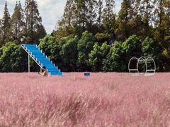 -嘉北郊野公园