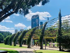 -布里斯班南岸公园