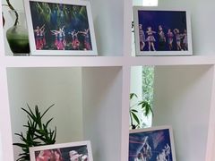 -小荧星艺校(浦东中环分校)