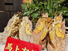 -喜聚薈·花膠雞海鮮火鍋(越秀店)