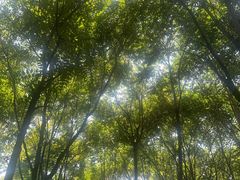 -草根堂农场