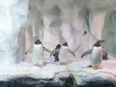-南昌海洋公园