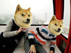 -巨鹏飞梦幻海岸