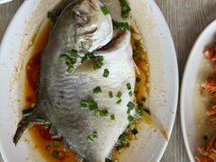 -红月湾海鲜饭店•沙滩海景(双月湾店)