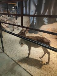 -酷嗒动物文化乐园(cutezoo西溪乐天城店)