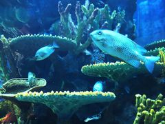 -青岛嘉年华主题乐园