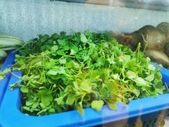 -老味道1992(武当山店)