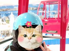 -长沙湘江冰雪世界