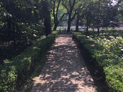 -汇龙潭