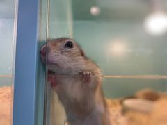 -FAIRYLAND龙族星球主题餐厅(凯丹广场店)