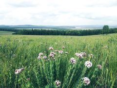 -塞罕坝国家级自然保护区