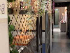 -神火烧烤馕坑肉新疆菜(兴隆街店)