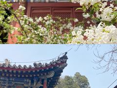 -北京上方山国家森林公园