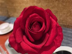 -妈妈菜舟山海鲜(定海古城店)