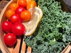 -大龙燚·旷野鲜火锅(广州首店)