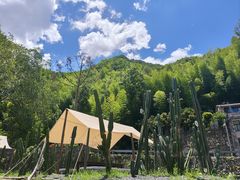 -MOJ coffee(瓯海泽雅水碓坑店)