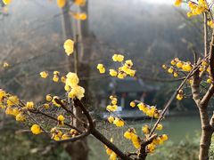 -南山风景名胜区